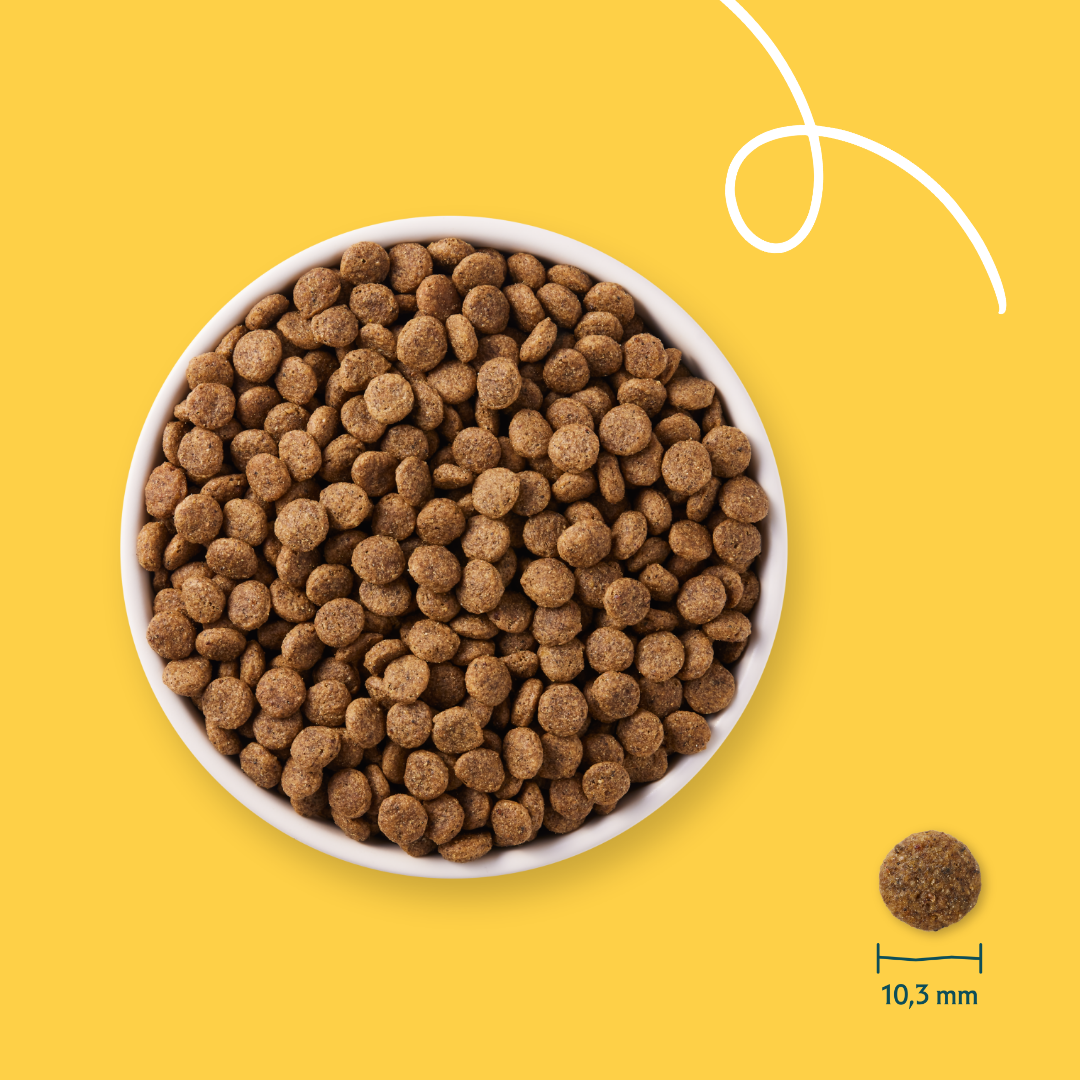 Croquettes Yarrah Bio Sans Ble Poulet Poisson Chat & Chaton