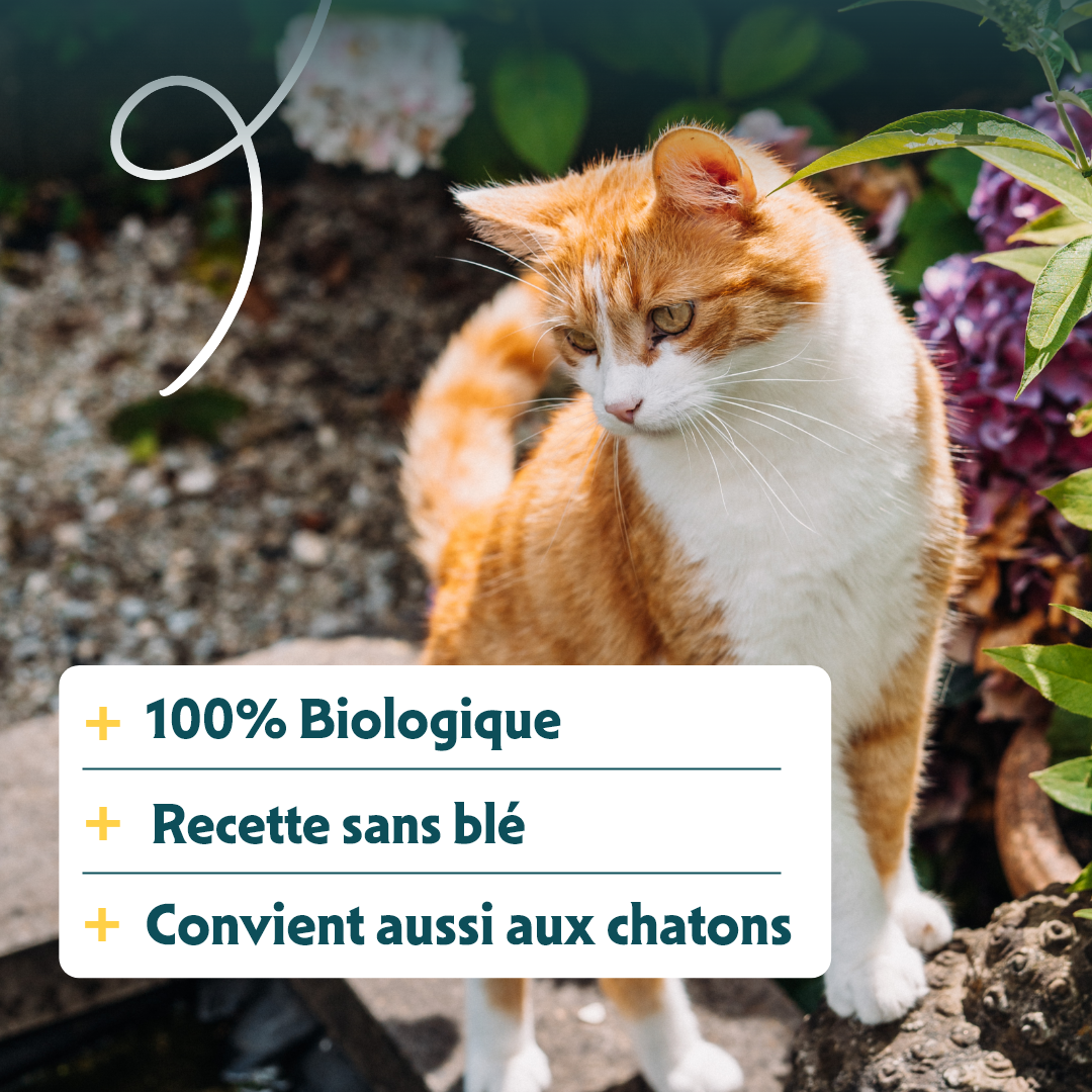 Croquettes Yarrah Bio Sans Ble Poulet Poisson Chat & Chaton