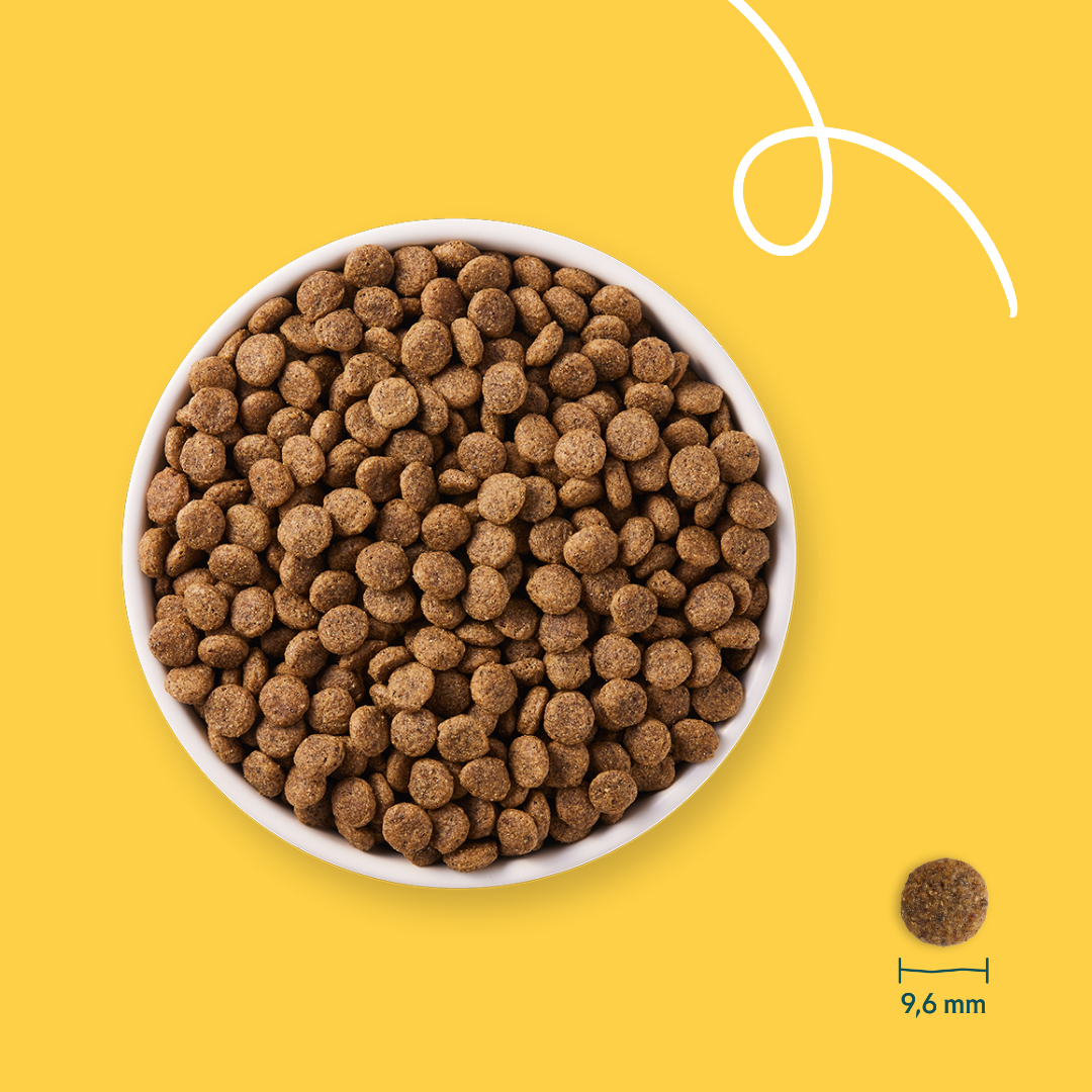 Croquettes Yarrah Bio Sans Ble Poulet & Poisson Chat Sterilise