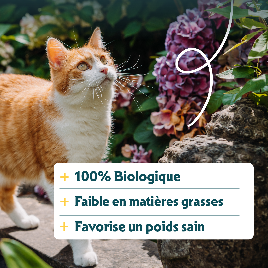 Croquettes Yarrah Bio Sans Ble Poulet & Poisson Chat Sterilise