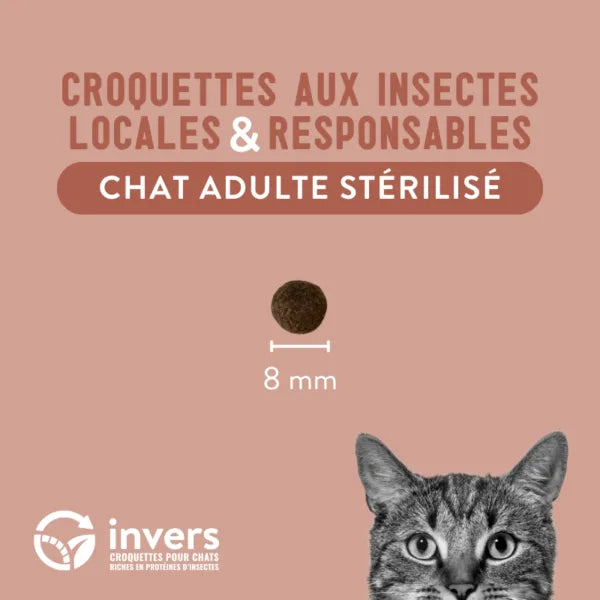 Croquettes Insectes Chat Adulte Stérilisé Invers Fabriqué en France
