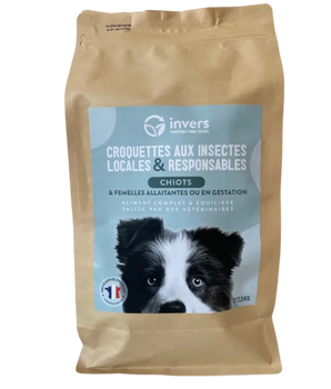 Croquettes Insectes Chiot Invers Fabriqué en France
