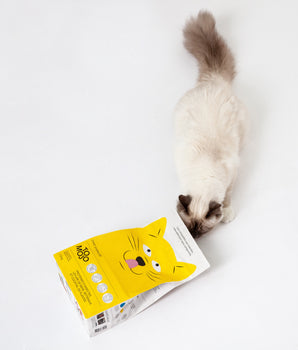 Croquettes aux insectes chat Tomojo Sans Céréales