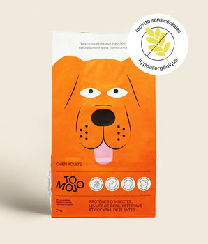 Croquettes aux insectes pour chien Tomojo sans céréales