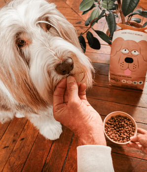 Croquettes aux insectes Tomojo Chien Senior Fabriqué en France