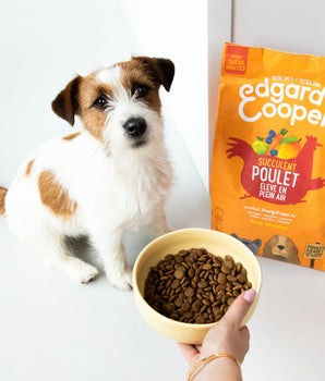 Croquettes sans céréales au Poulet Edgard Cooper Chien