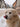 Filets de Poulet seche Naturel Chien