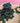 Friandises Naturelles Végétales Courgettes Spiruline Chien Chat