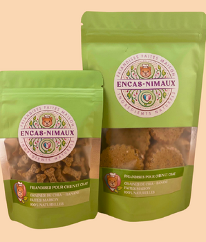 Friandises Naturelles Végétales Graines de Chia Banane Chien Chat