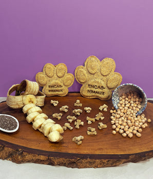 Friandises Naturelles Végétales Graines de Chia Banane Chien Chat