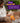 Friandises Sans Céréales Edgard Cooper Fourrées Poulet Chat