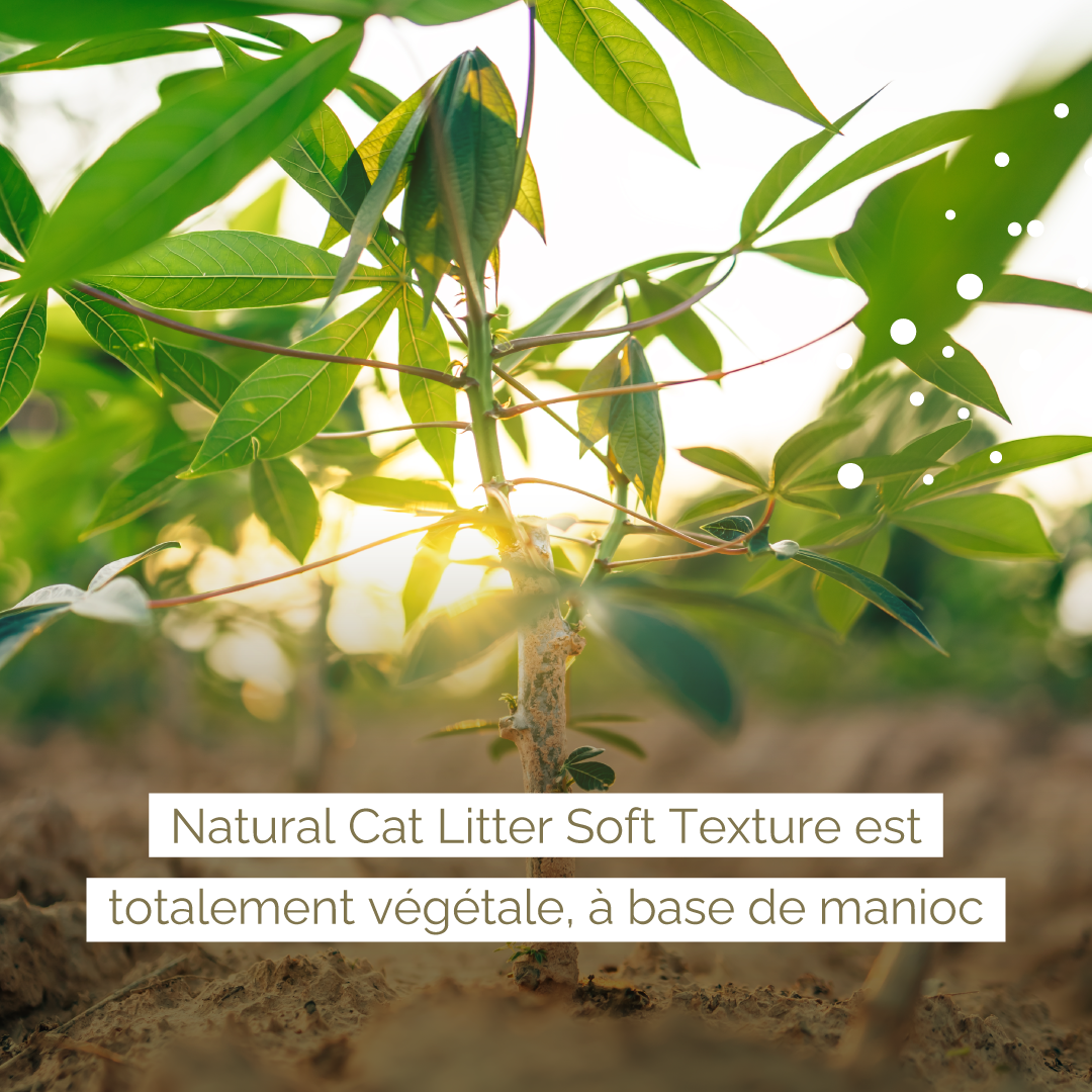 Litière Végétale Ecologique Compostable Biodégradable Almo Nature Cat Litter Soft Texture