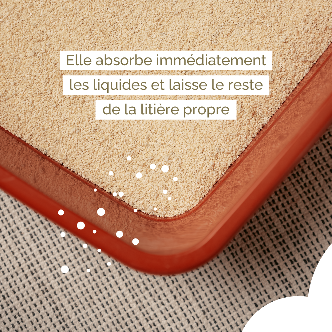 Litière Végétale Ecologique Compostable Biodégradable Almo Nature Cat Litter Soft Texture