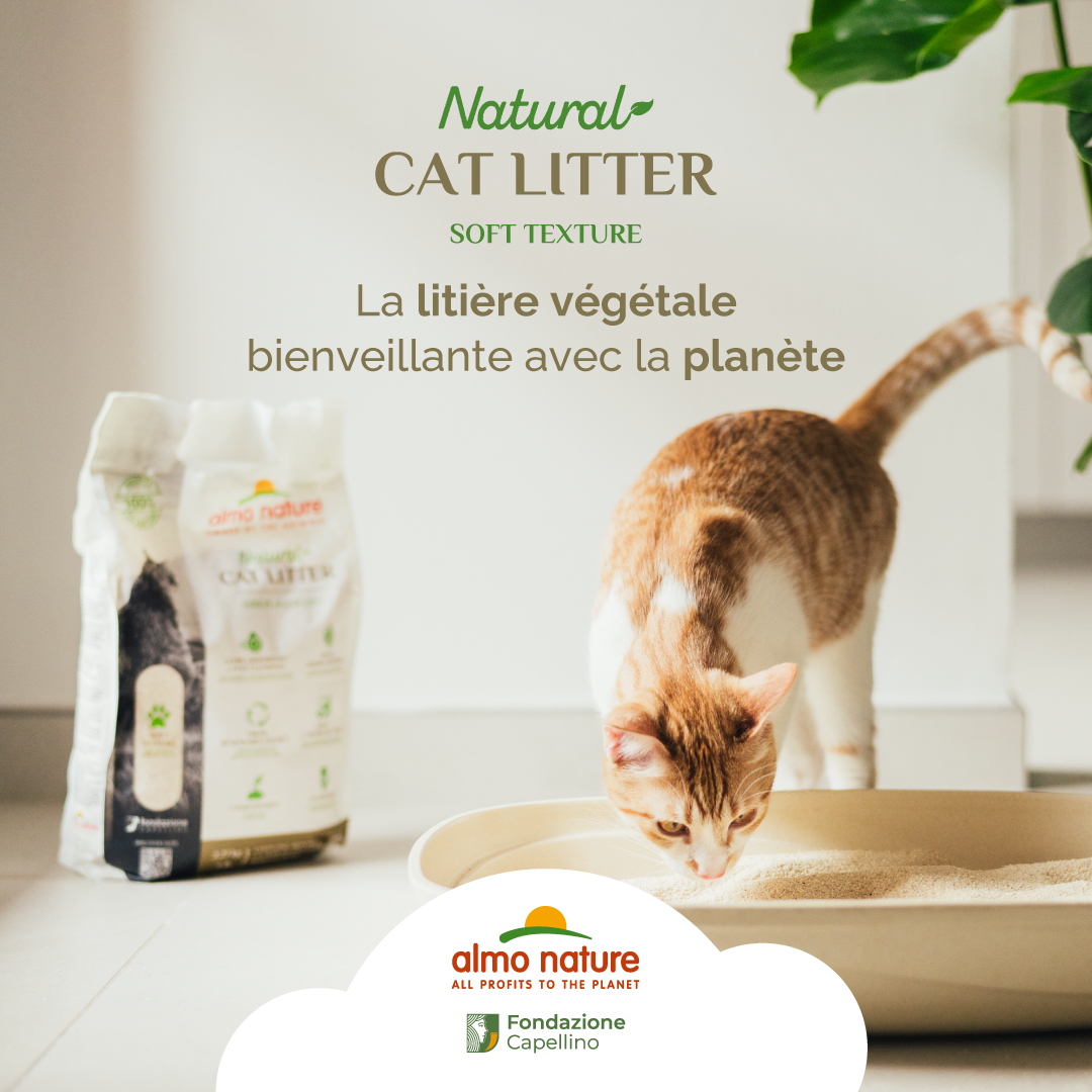 Litière Végétale Ecologique Compostable Biodégradable Almo Nature Cat Litter Soft Texture