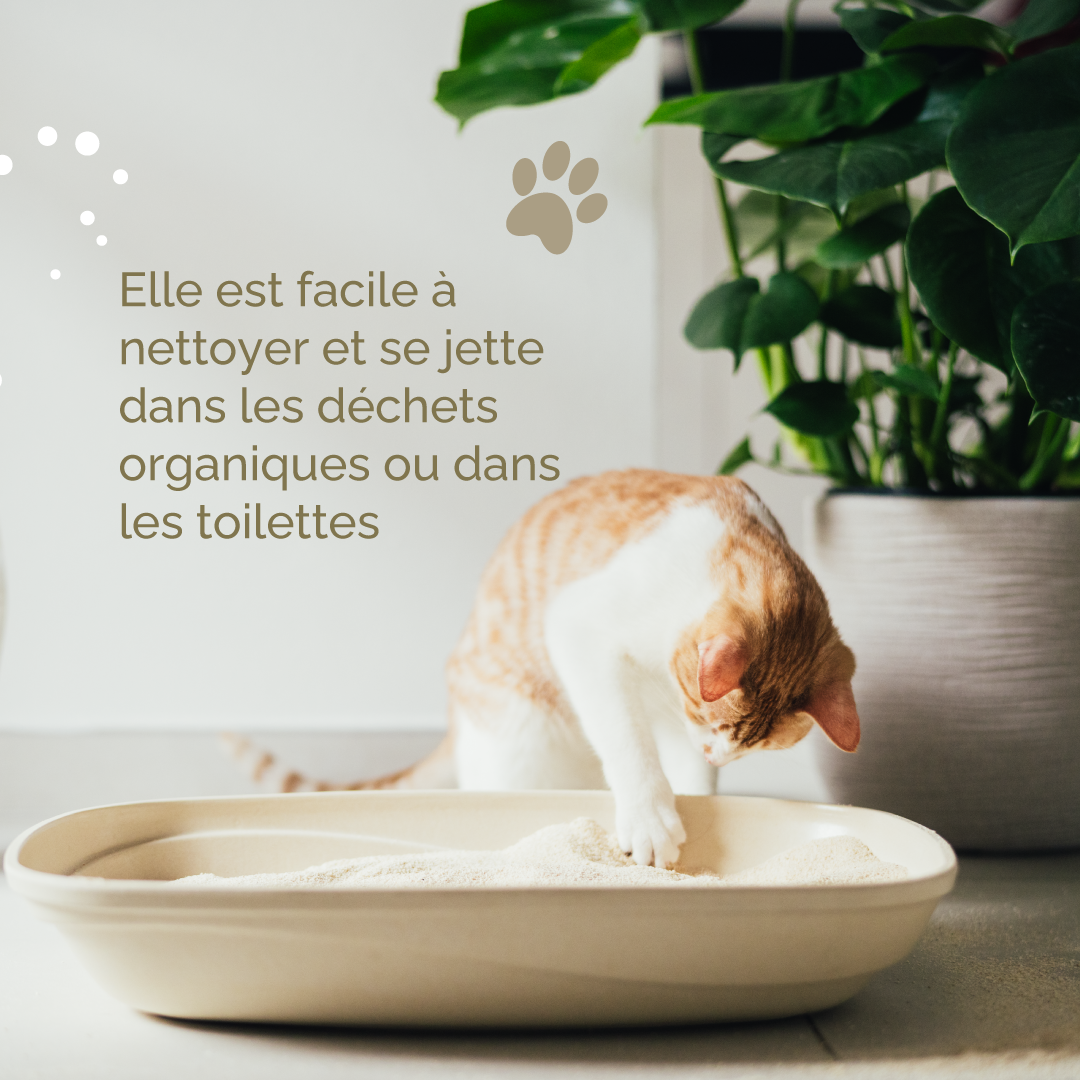Litière Végétale Ecologique Compostable Biodégradable Almo Nature Cat Litter Soft Texture