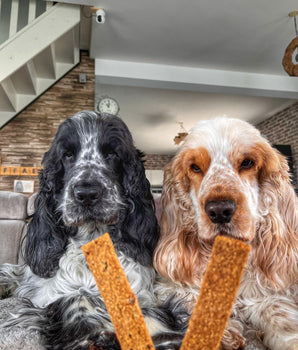 Marly & Dan Barres a macher Sans Cereales au Saumon Chien