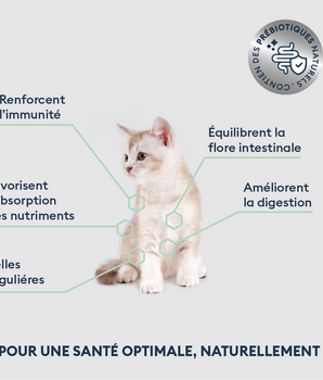 Marly & Dan Croquettes Sans Cereales Saumon Chaton