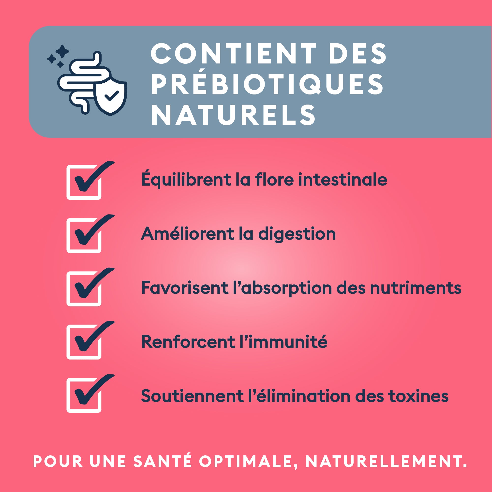 Marly & Dan Croquettes Sans Cereales Saumon Chien Grande Taille