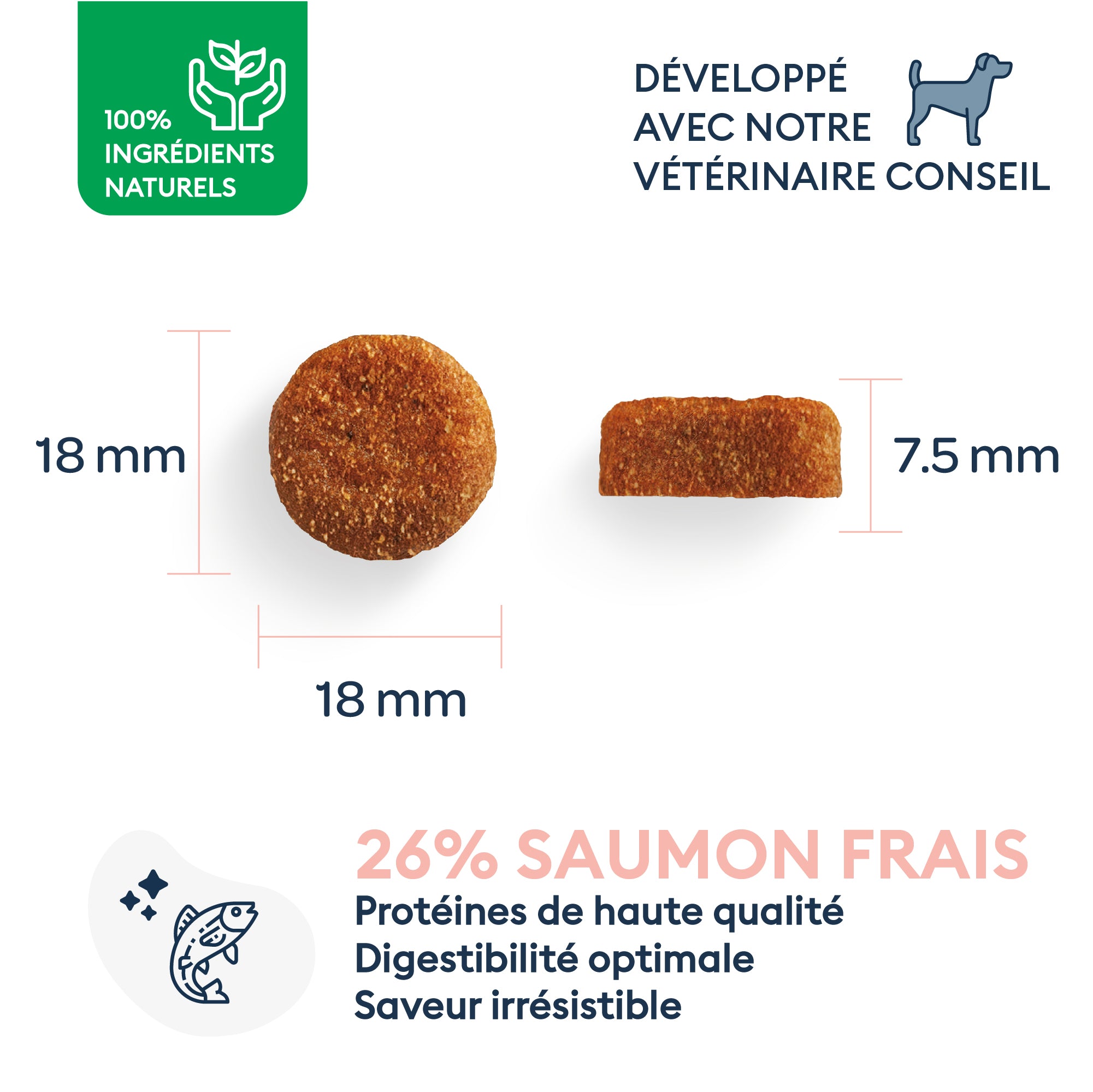 Marly & Dan Croquettes Sans Cereales Saumon Chien Grande Taille