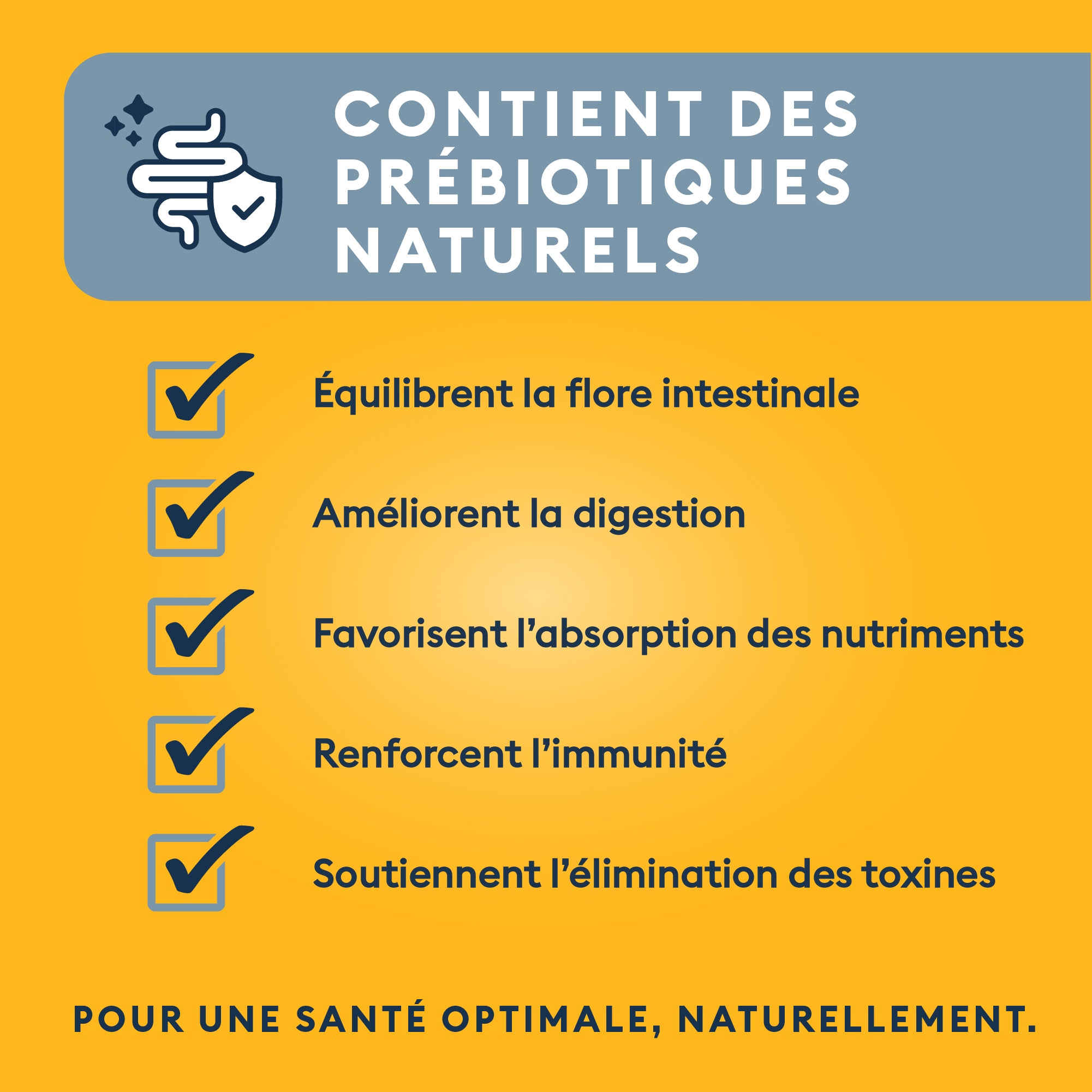 Marly & Dan Croquettes Sans Cereales Saumon Chien Petite Taille