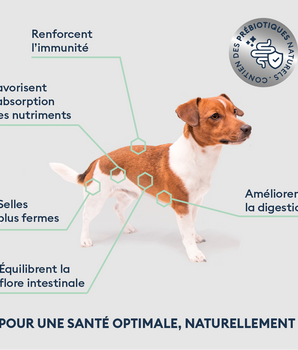 Marly & Dan Croquettes Sans Cereales Saumon Chien Petite Taille