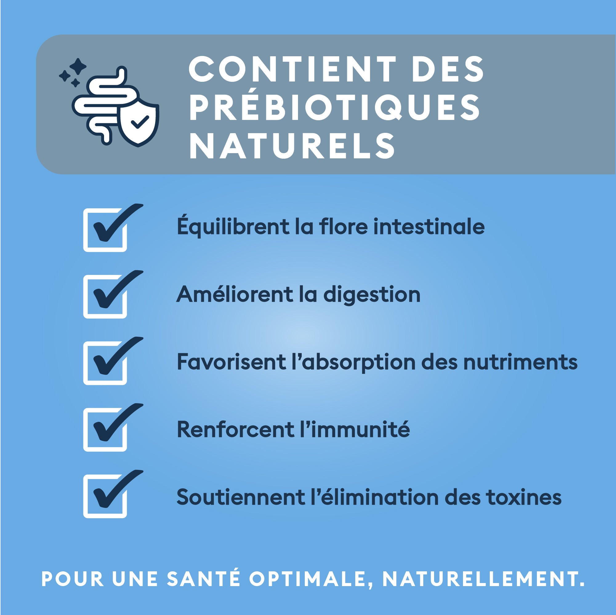 Marly & Dan Croquettes Sans Cereales Saumon Chien Taille Moyenne