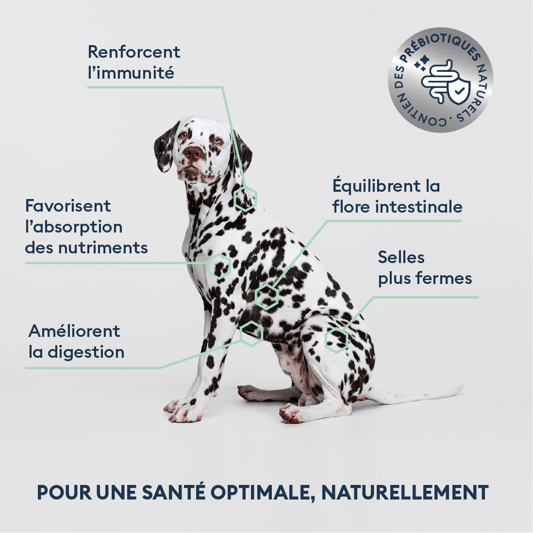 Marly & Dan Croquettes Sans Cereales Saumon Chien Taille Moyenne