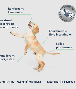 Marly & Dan Croquettes Sans Cereales Saumon Chiot