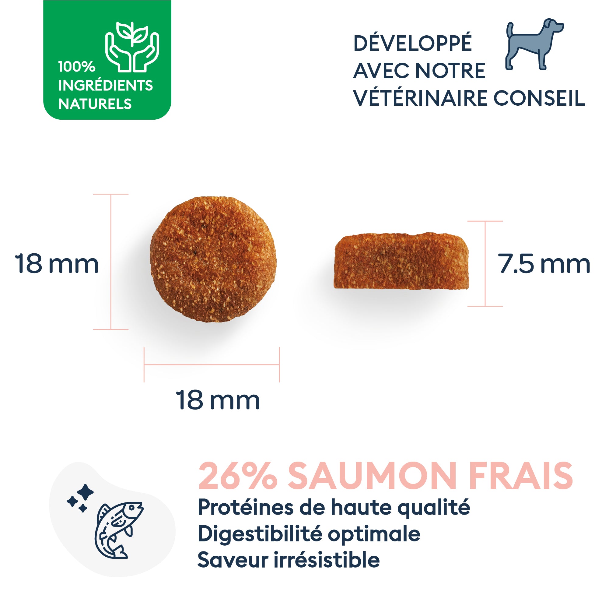 Marly & Dan Croquettes Sans Cereales au Saumon Chien Senior Moyenne Grande Taille