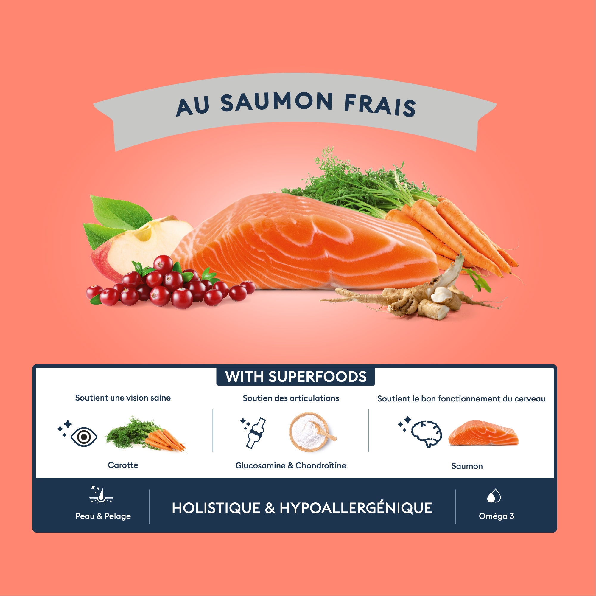 Marly & Dan Croquettes Sans Cereales au Saumon Chien Senior Moyenne Grande Taille