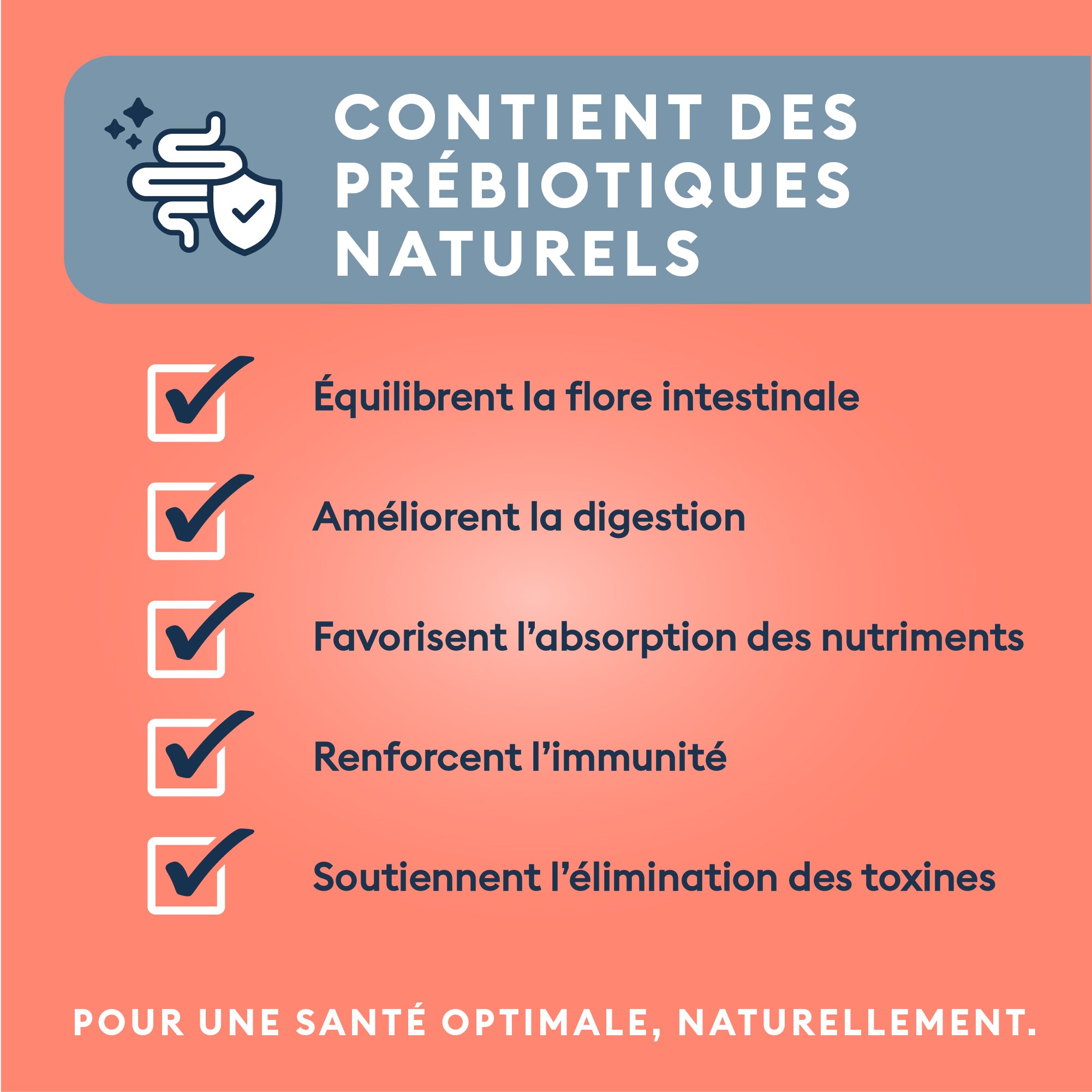 Marly & Dan Croquettes Sans Cereales au Saumon Chien Senior Moyenne Grande Taille