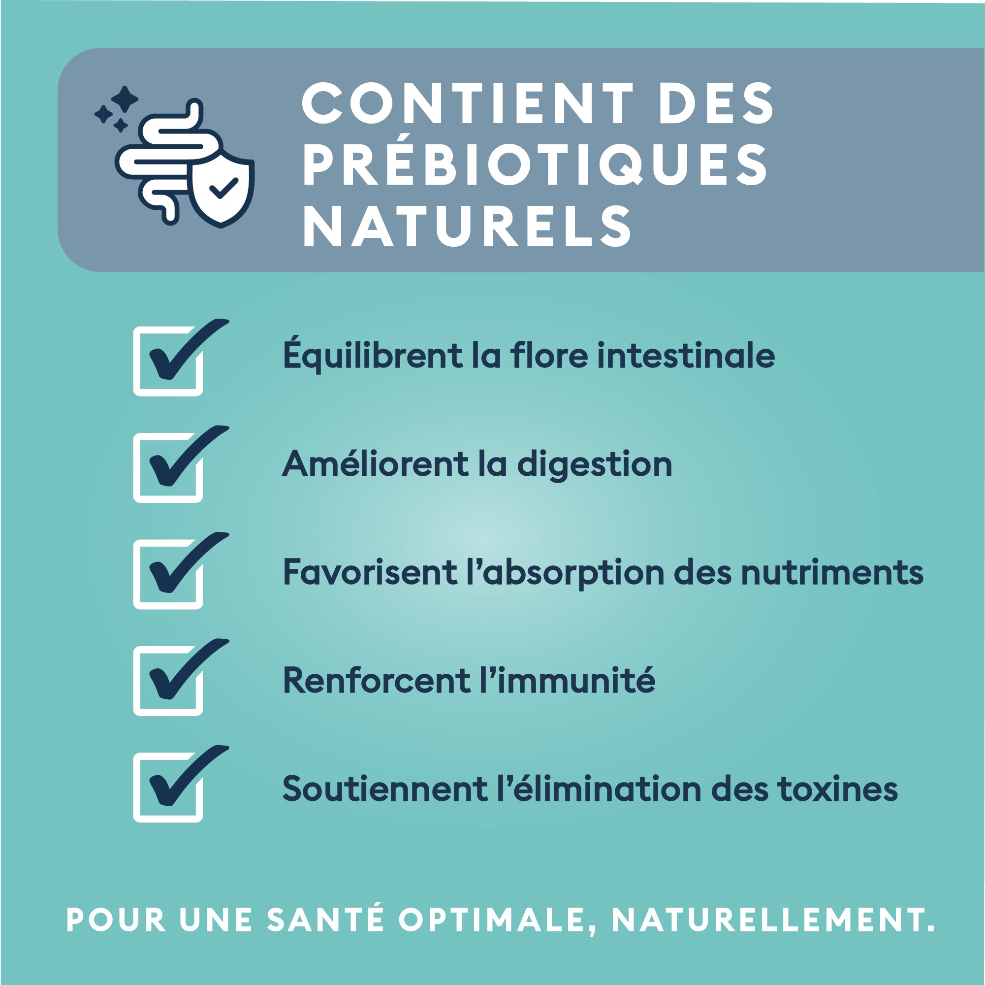 Marly & Dan Croquettes Sans Cereales au Saumon Chien Senior Petite Taille