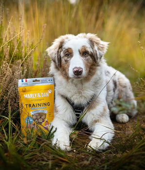 Marly & Dan Friandises Sans Cereales Saumon Chien