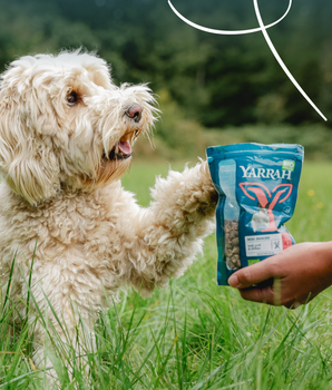 Mini Snack Yarrah Bio Sans Cereales pour Chien