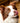 Mousse Bio Sans Céréales Canichef au Poulet pour Chien