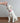 Nestor Friandises Complementaires pour Chien Hygiene Bucco-Dentaire