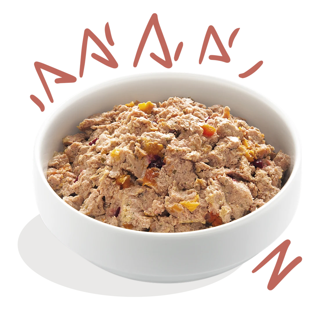 Pâté Sans Céréales Edgard Cooper Poulet Saumon Chien Senior