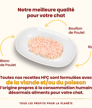 Patee Almo Nature HFC Natural Poulet Chat
