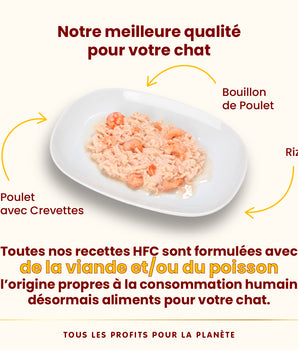 Patee Almo Nature HFC Natural Poulet Crevettes Chat