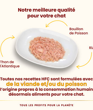 Patee Almo Nature HFC Natural Thon Chat