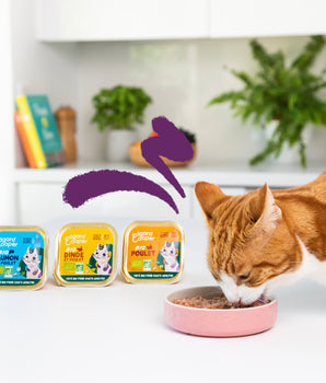Pâtée Bio Sans Céréales Edgard Cooper Saumon Poulet Chat