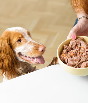 Pâtée Sans Céréales Edgard Cooper Chien