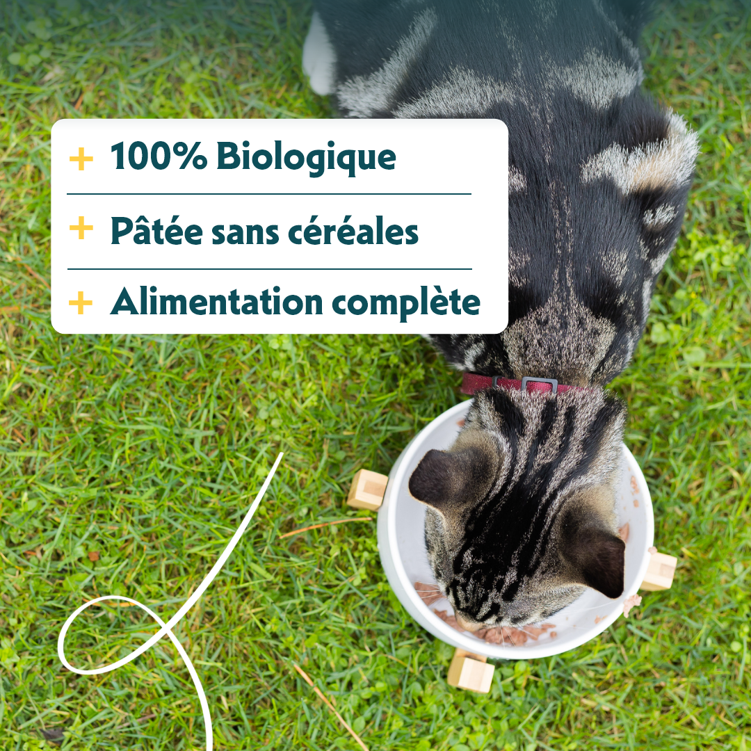 Patee Yarrah Bio Sans Cereales Boeuf & Poulet pour Chat