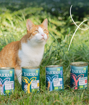 Patee Yarrah Bio Sans Cereales Poisson pour Chat