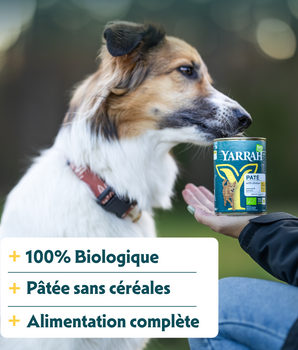 Patee Yarrah Bio Sans Cereales Poulet Chien