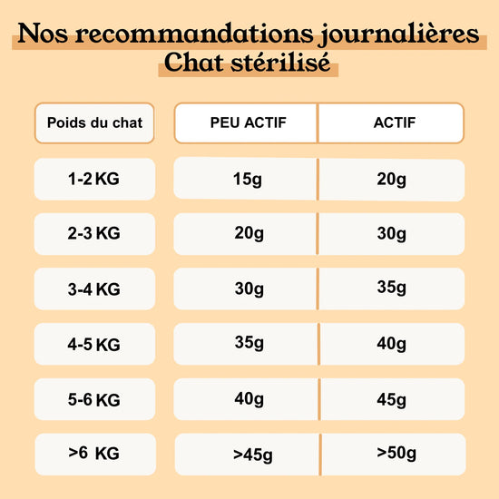 Petty Well Croquettes Sans Cereales Poulet Dinde Chat 1kg Recommandations journalieres