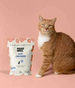 Petty Well Croquettes Sans Cereales Poulet & Dinde pour Chat