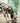 Petty Well Croquettes Sans Cereales Poulet & Legumes pour Chien de Grande Taille