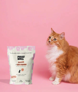 Petty Well Croquettes Sans Cereales Saumon & Thon pour Chat