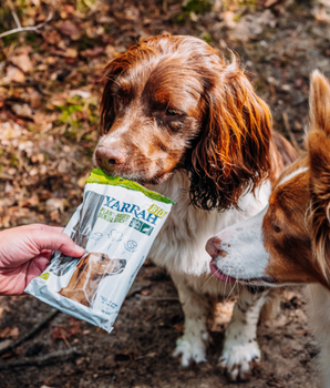 Stick Dentaire Yarrah Bio Végétalien Chien